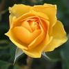 Ethell Mora - @ethell.mora - TikTok