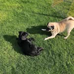 Ethel & Gertrude Morris - @ethel_and_gertie - Instagram