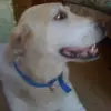 Ethel Morris - @ethel.morris - TikTok