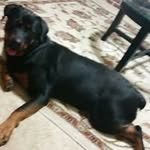 Ethel Morris - @ethelmorris1951 - Instagram