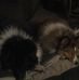 Ethel Morris - Facebook