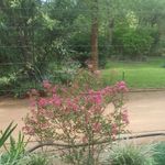 Ethel Moses - @ethel.moses.9 - Instagram