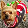 Ethel Murray - @ethel.murray400 - TikTok