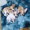 ETHEL PALMA - @ethel.palma - TikTok