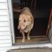 Ethelbert Plummer - Facebook