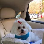 Ethel Pollock - Facebook