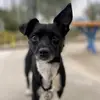 Ethel Mae Potter - @ethelmaepotter - TikTok