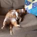 Ethel Read - Facebook