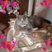 Ethel Roe - Facebook