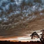 Ethel Roper - @ethelroper59 - Instagram