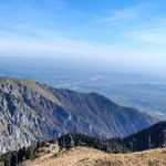 Ethel Roper - @ethelroper41 - Instagram
