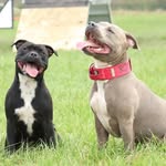 Roy and Ethel - @roy_and_ethel_sbt - Instagram