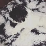 ethel sanchez - @ethelsanchez168 - Instagram