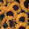 Ethel Sanchez - @ethel.sanchez73 - TikTok