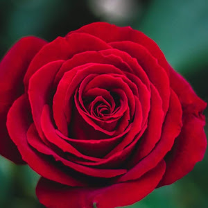 ethelsanchez633 - @ethelsanchez633 - TikTok