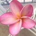 Ethel Schroeder - Facebook