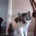 Ethel Schofield - Facebook