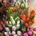 Ethel Snyder - Facebook