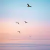 ethelsnyder1976 - @ethelsnyder1976 - TikTok