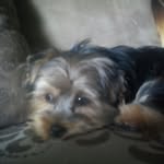 Ethel Sutton - @ethels2805 - Instagram