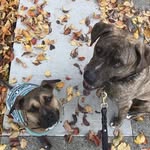 Thelma + Thurston - @thurston.thelma - Instagram