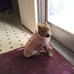 Ethel Travis Turner - @ttandet40 - Instagram