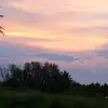 Ethel Wade - @ethel.wade0 - TikTok