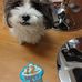 Ethel Wallace - Facebook