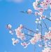 Ethelene Whitfield - Facebook