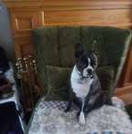 Ethel Ethel Wolfe - Facebook