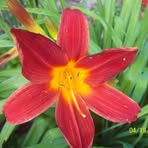 Ethelene Thomas - Facebook