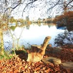 Etienne Bernard - @etienne.bernard.1806 - Instagram