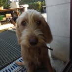 Etienne Martin - Facebook