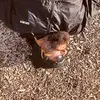 Etienne Martin - @etiennemartin4 - TikTok