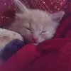etnatapialopez - @misty221010 - TikTok
