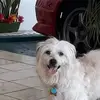 Etna Martinez - @etna.martinez2 - TikTok