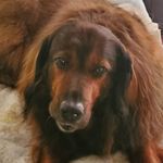 Jeff Edson - @edson.jeffrey - Instagram