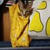 Etsuko ピコ - Facebook
