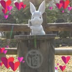 Etsuko  Hayashi - Facebook