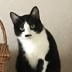 Etsuko Hayashi - Facebook