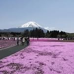 Etsuko Higashino - @etsukohigashino - Instagram