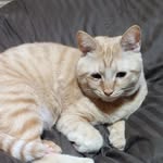 Etsuko  Inoue - @etsuko.inoue.1022 - Instagram