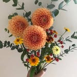 Etsuko Inoue - @etsuko.inoue.1 - Instagram