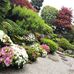 Etsuko Iwai - Facebook