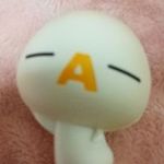 Etsuko Kijima - @chappy630 - Instagram