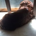 Etsuko Kubo - @etsuko.kubo.376 - Instagram