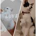 Etsuko Mori - Facebook