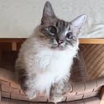 Etsuko Mori - @ekkom0921 - Instagram