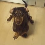 Etsuko  Saito - @etsuko4536 - Instagram
