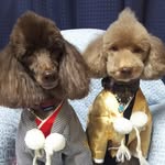 Etsuko Saito - @charo.mama - Instagram